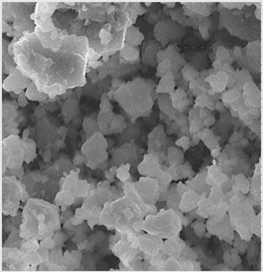 grayscale SEM