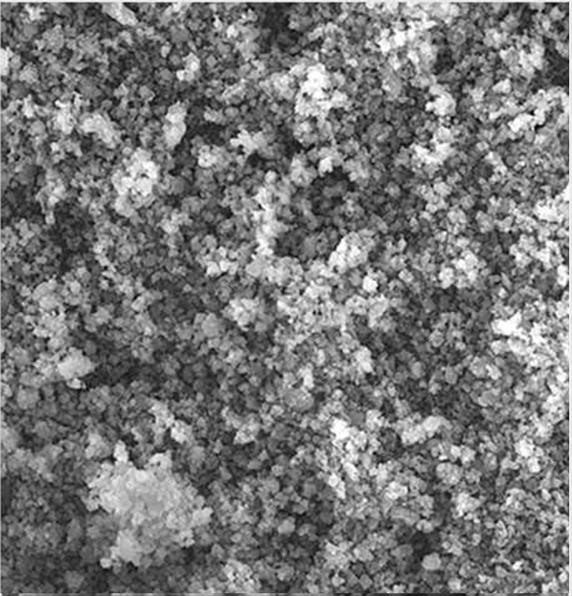 A close-up, grayscale texture shot of a granular powder or salt-like substance filling the entire frame.