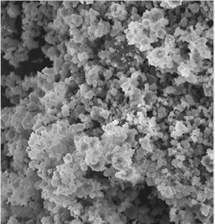 A grayscale close-up of a textured, granular material with a porous, sponge-like structure filling the entire frame.